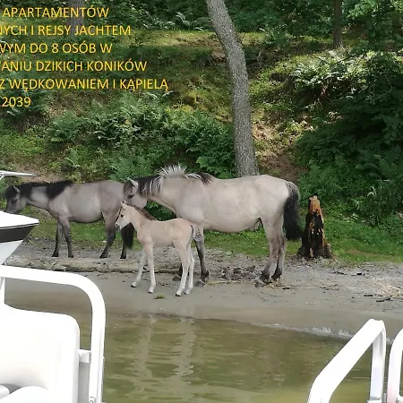 Rynek 公寓 Mikołajki